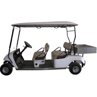 Golf cart china