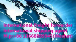 China freight forwarder;Shipping booking;Amazon  business;DDU/DDP;Container transport;Air transport&express