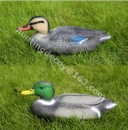 hunting decoy duck plastic
