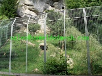 Stainless Steel Welded Mesh Zoo fence