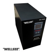 CE/ROHS WELLSEE WS-P3000 3000W power converter