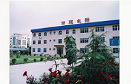 Shandong Senter Electronic Co., Ltd